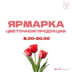 Организована работа краткосрочных ярмарок по продаже цветочной продукции Организована работа краткосрочных ярмарок по продаже цветочной продукции