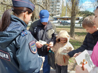 Полицейские присоединились к Всероссийской акции «Георгиевская ленточка»