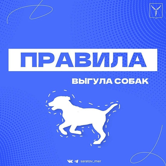 Правила выгула собак