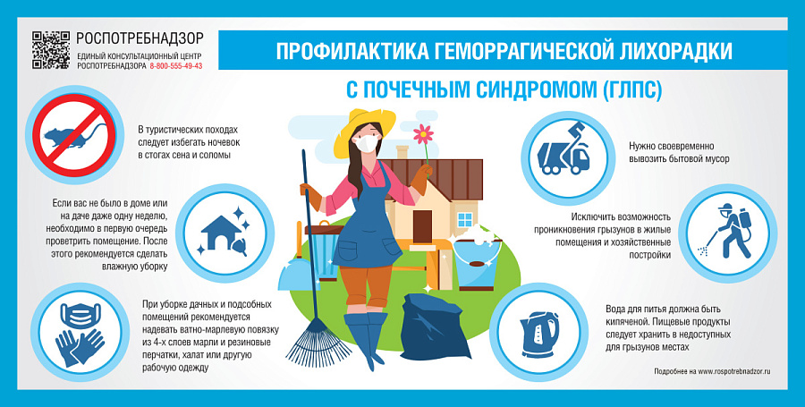 Профилактика геморрагической лихорадки с почечным синдромом (ГЛПС)