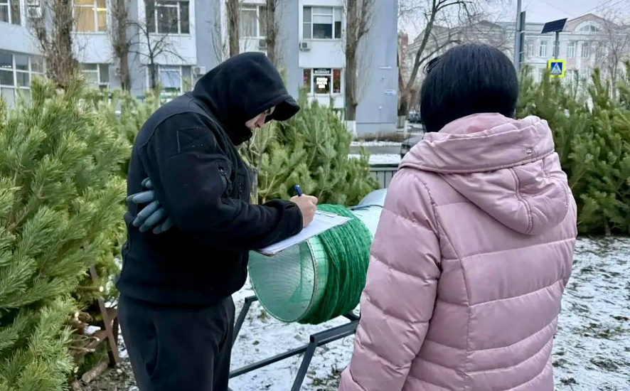 Осмотр елочных базаров