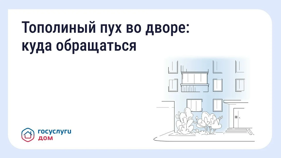 Более 280 тысяч саратовцев выбрали приложение «Госуслуги Дом»