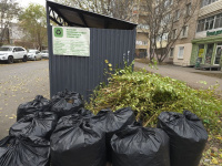 По поручению главы города Михаила Исаева проведены мероприятия по осмотру мест накопления ТКО По поручению главы города Михаила Исаева проведены мероприятия по осмотру мест накопления ТКО