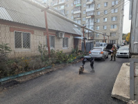 В Саратове подошел к концу ремонт улицы 3-я Беговая В Саратове подошел к концу ремонт улицы 3-я Беговая