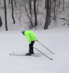 Зимний лес и лыжи – идеальный дуэт