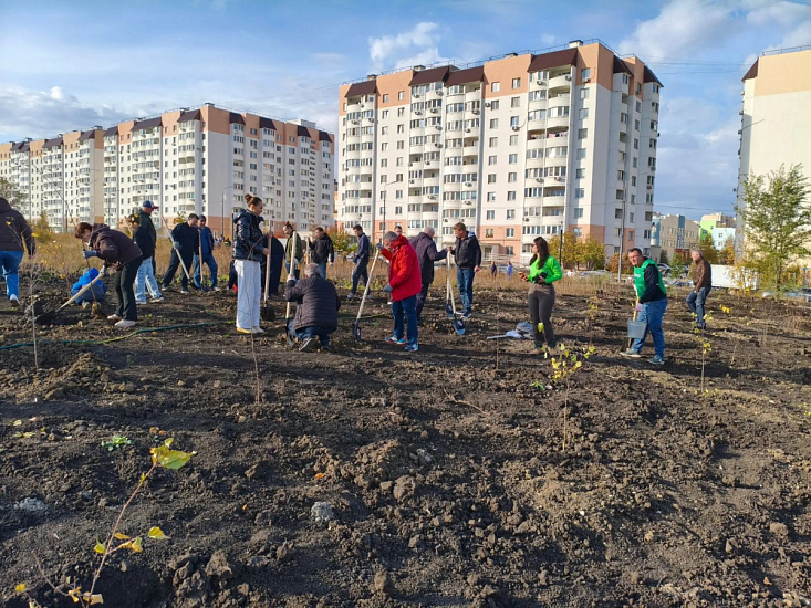 В парке «Соловьиная Роща» высажено 550 деревьев и кустарников
